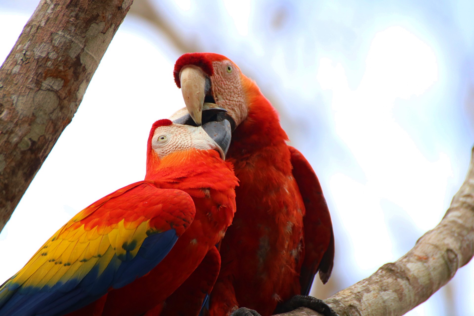 Fotor_155219106230227