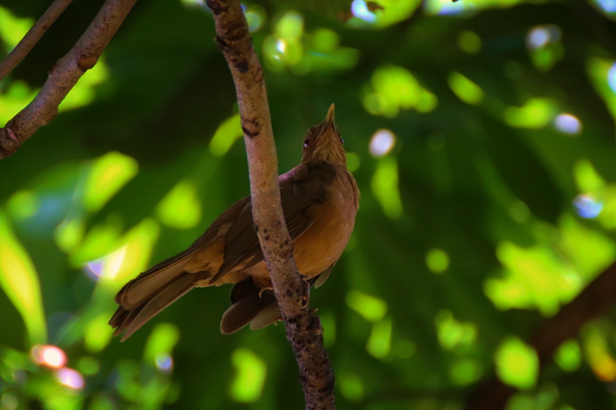 Fotor_155296016679123