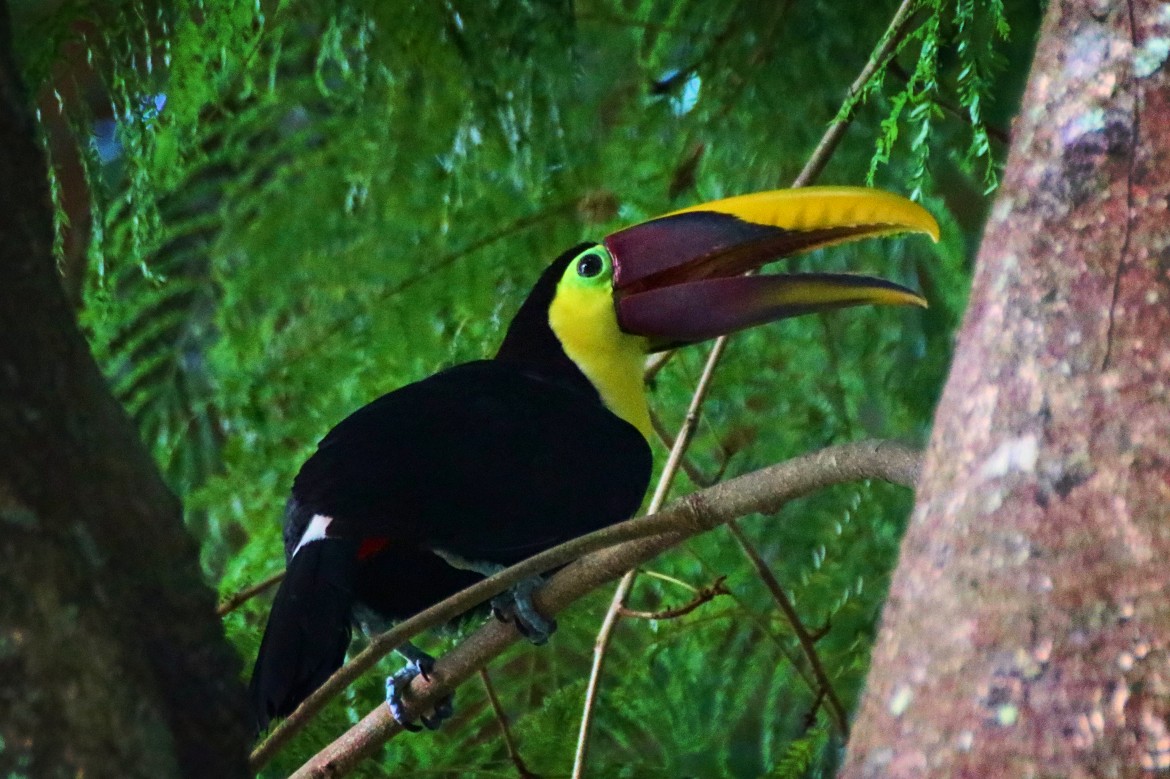 Fotor_155303946799858