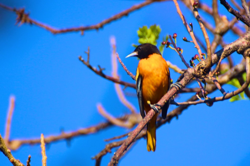 Fotor_15516223522940